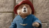 An NSFW Paddington Bear Appearance Has Turned Into A Lawsuit Between The Movie Producers And An Emmy