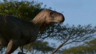 Nuevo dinosaurio carnívoro descubierto en La Rioja