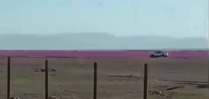 No aprenden: captan vehículo circulando sobre el Desierto Florido