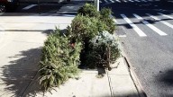 Adiós al árbol de Navidad tradicional: la tendencia que comienza a imponerse en Europa