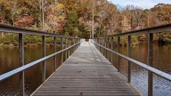 Entre Memphis y Nashville se encuentra el parque estatal de Tennessee con una playa para nadar, senderos panorámicos y cabañas