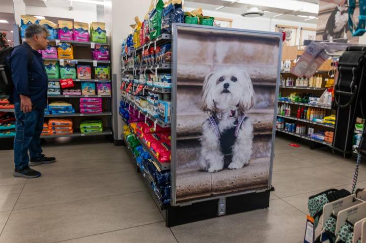 Banning pet-store sales does more harm than good