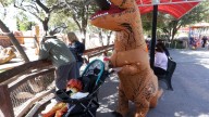 Boo at the Zoo, Sheriff's Fall Fest among things to do in El Paso