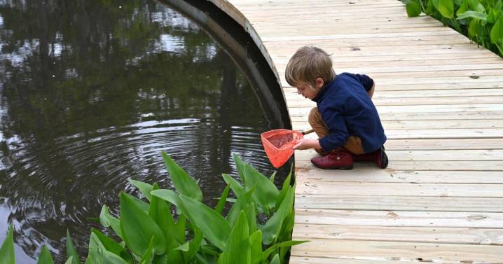 We're looking for Louisiana Master Naturalists. See more details.