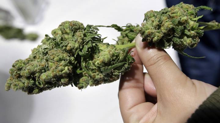 State regulators present detailed cannabis sales data on 5th anniversary of legal adult use market