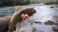 El Concurso de Pesca abre la Semana Internacional de la Trucha en León con 41 participantes nacionales