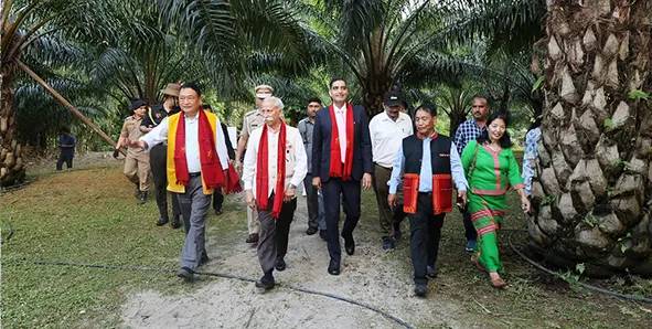 Oil palm cultivation vision for self