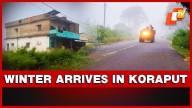 Koraput Wakes Up To Winter Magic As Fog And Chill Enchant Locals
