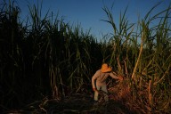 Investigadores mapean calor rural para proteger a trabajadores
