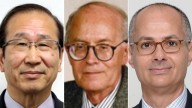 Nobel Prize in chemistry goes to trio of scientists for developing ‘metal