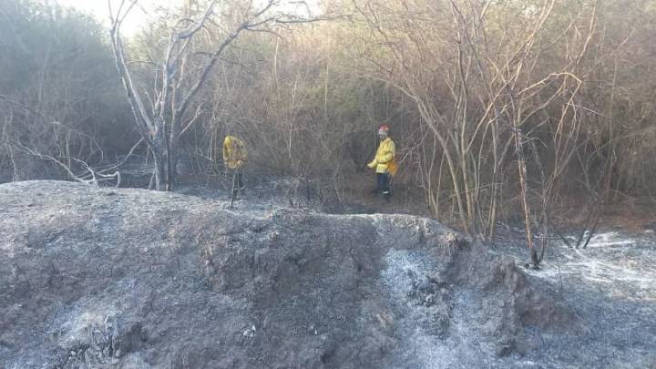 Controlaron varios incendios de pastizales en distintos puntos de la Capital