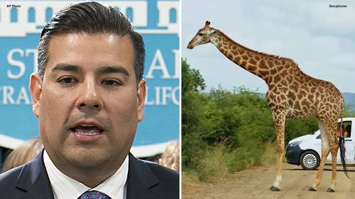 Safari, 5-star resorts: New questions about CA insurance boss' travel
