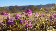 Chasing Desert Sunsets In Greater Palm Springs