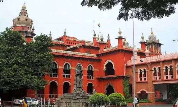 TN Stampede: HC denies pre-arrest bail to TVK leaders N Anand, Nirmal Kumar