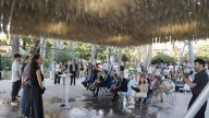 ‘Espartal’: el sorprendente bosque de esparto que ya puede visitarse en Alicante