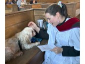 People and pets attend church in Vittoria | The Woodstock Sentinel Review