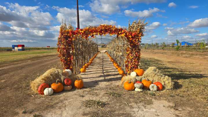 Enjoy trick-or-treating during these Halloween and fall festivities