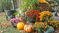 Your Fall Garden To-Do List By Growing Zone