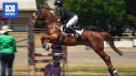 Brisbane 2032 president praises Toowoomba during equestrian site visit