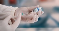 Covid vaccines could 'turbo-charge' cancer treatment, study suggests