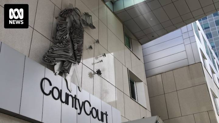 Master Builders Association of Victoria board member fails in legal bid to unmask purported whistleblower