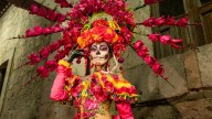 Vive Morelia su Semana de las Ánimas