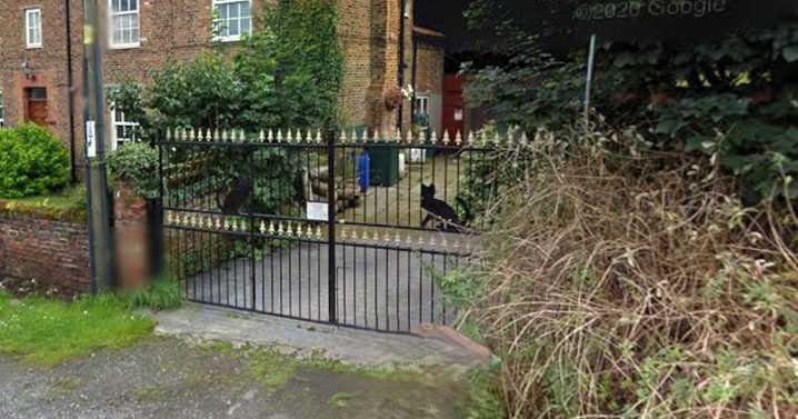 Purrrfect outcome as cattery conversion scheme plans given green light
