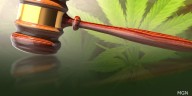 Florida appeals court rules ‘plain smell’ of marijuana no longer enough to establish probable cause