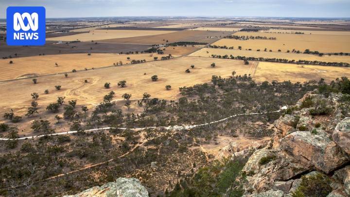Donald rare earth mine given major project status by Australian government