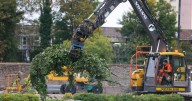 'Tree Brides' anguish as work finally begins on Harbourside flats