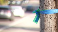 Annunciation students to create art with blue