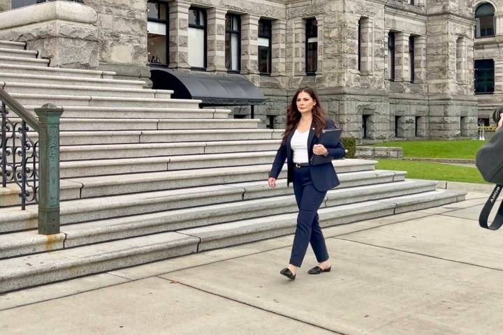 ‘Low blows’: Boultbee fires back at B.C. Conservative leader’s comments