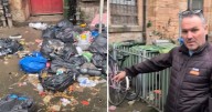 Bin men in Glasgow face 'deplorable' conditions as rats 'having a party and a buffet'