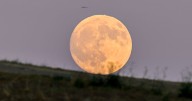 Rare 'super' Harvest Moon visible over Glasgow tonight with clear skies forecast