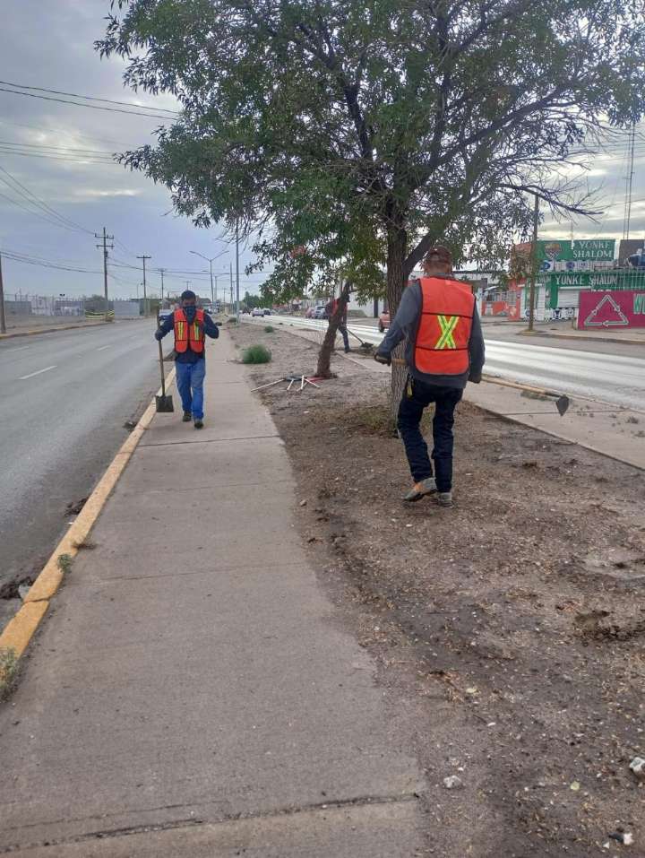 Empresas se suman a la limpieza y mantenimiento de avenidas