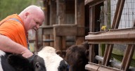 'It's our livelihood' | Warren County farmer worries record-breaking beef costs could put him out of business