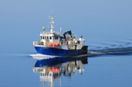 Press group confirms release of flotilla journalists following Israel detention