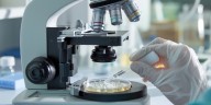 De a poco, la nueva ANMAT: qué implica la flexibilización para productos cosméticos y de higiene personal