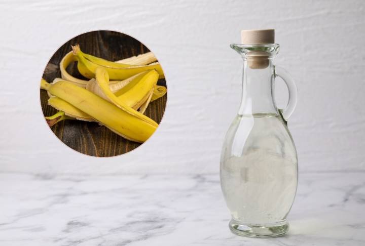 Para qué sirve mezclar cáscaras de banana con vinagre: un fertilizante casero