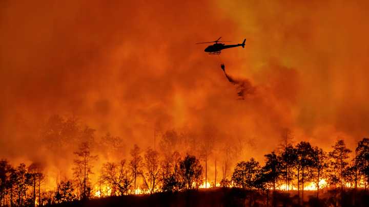 Popular California National Park Hit By Wildfire As U.S. Shutdown Drags On