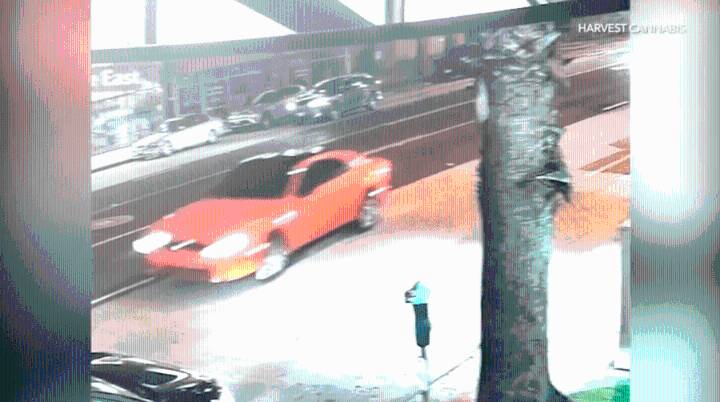 Police continue search for deadly Santa Monica hit