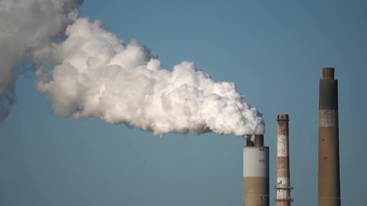 Trump revives large coal sales from public lands