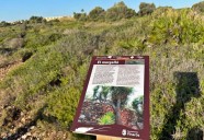 El Sendero Jardí de Sòl de Riu de Vinaròs ve mejorada su señalización