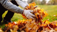 Ditch The Rake And Swap To This Unexpected DIY Solution For Leaves This Fall