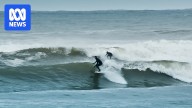 Surfer bitten twice by shark chasing seal off Kangaroo Island