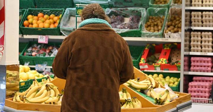 Observatorio de Educación Alimentaria: un innovador espacio para crear conciencia en Río Negro