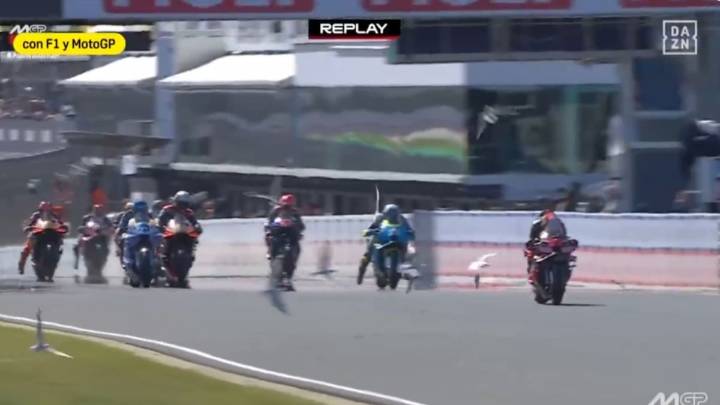 ¡Una bandada de gaviotas da el susto en el GP de Australia! Marco Bezzecchi se llevó por delante a un animal en el circuito
