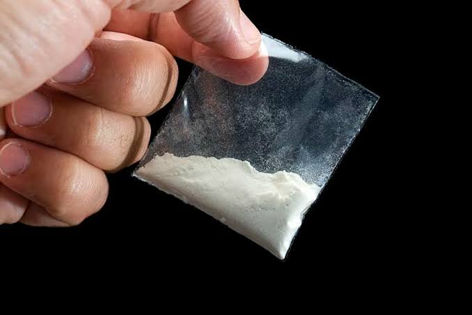 Nigerian Arrested in Goa for Possession of Narcotics W/ ₹2.5 Cr