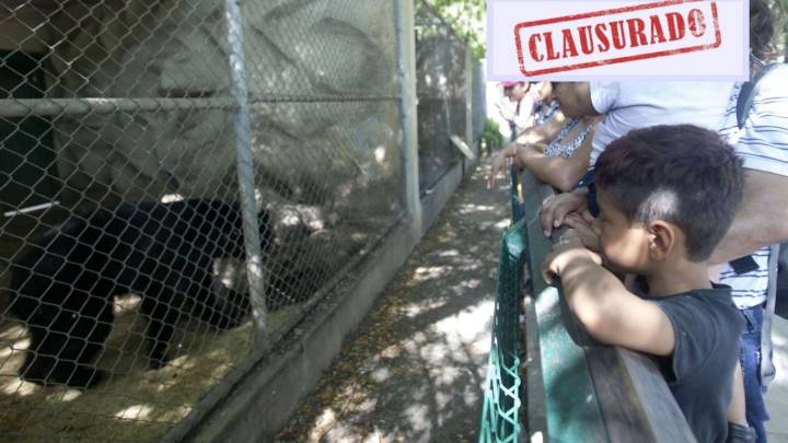 Clausuran el zoológico La Pastora ante malas condiciones de salud de la osa Mina