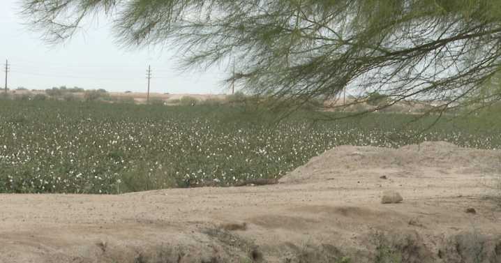 Marana receives applications for a data center